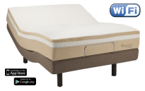 Tempur-Pedic Ergo Premier