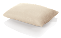 Tempur-Pedic Travel Comfort Pillow